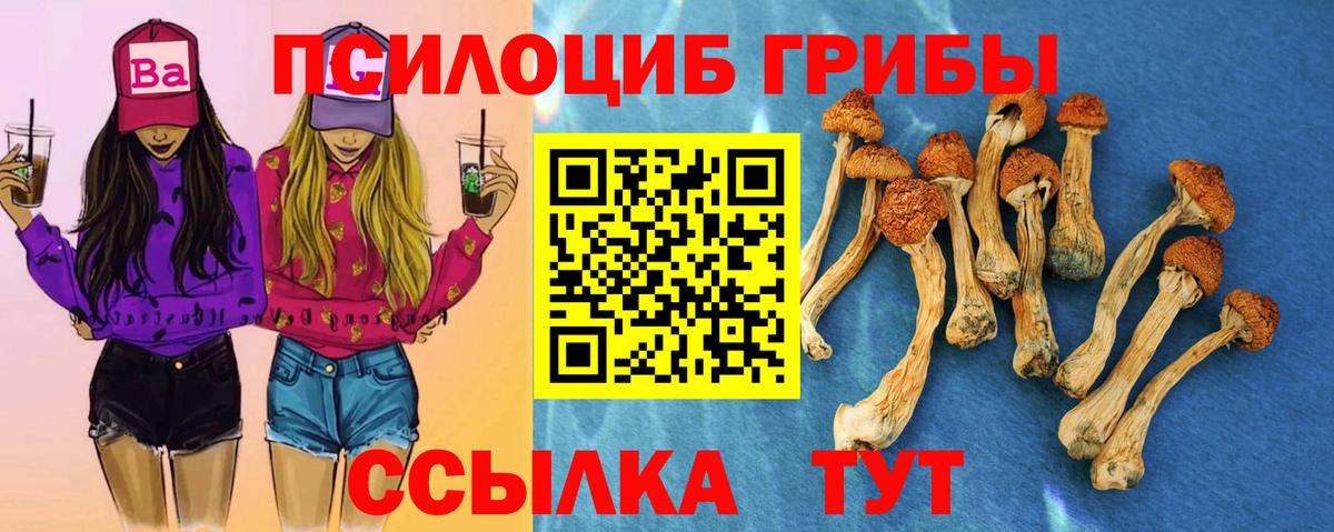 Псилоцибиновые грибы GOLDEN TEACHER Орёл